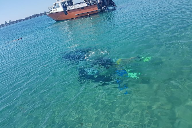 Gold Coast Try-Scuba Experience at Wave Break Island - Last Words