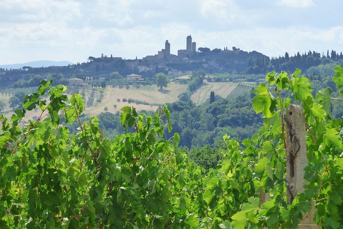 Gourmet Wine Tour San Gimignano Wine Tasting - San Quirico Winery - Booking Information
