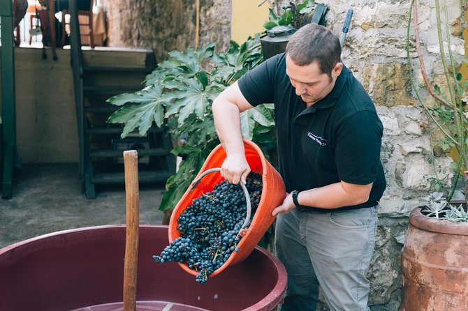 Grape Stomping in Tuscan Farmhouse From Florence - Additional Tips