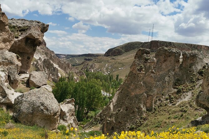 Green Full-Day Tour in Cappadocia - Tour Feedback and Reviews
