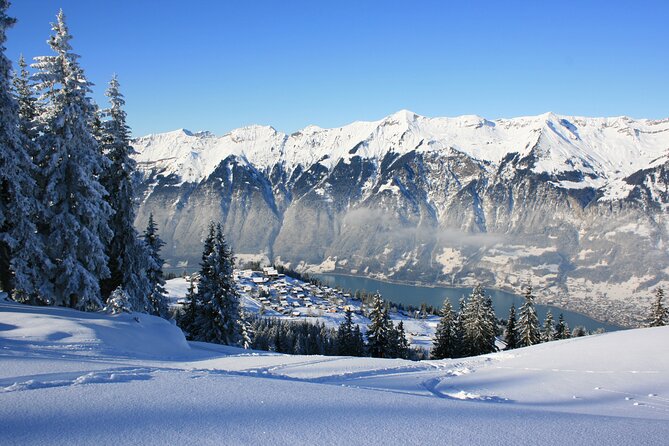 Grindelwald and Interlaken Independent Day Trip From Lucerne - Last Words