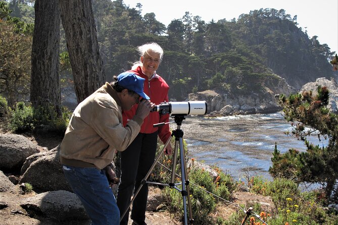 Guided 2-Hour Point Lobos Nature Walk - Last Words