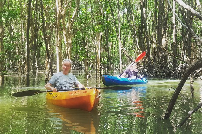 Guided Kayak Tour of Khao Lak Mangroves - Useful Directions for Tour Participation