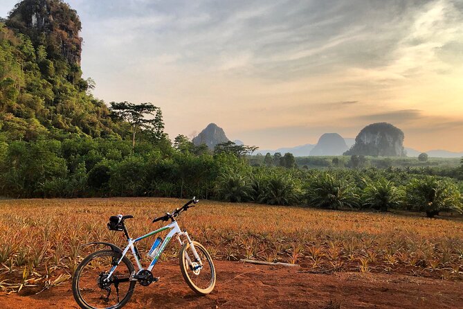 Guided Mountain Biking - Grand Tour - Trails of Ao Nang - Last Words