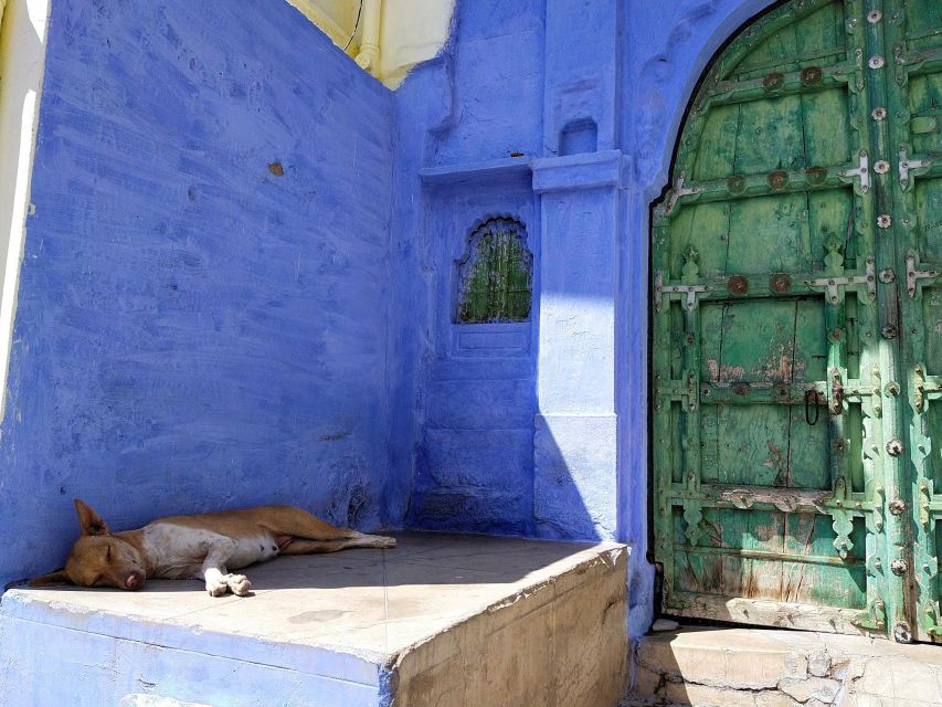 Guided Tour of Mehrangarh Fort, Memorial & Blue City Walk. - Last Words