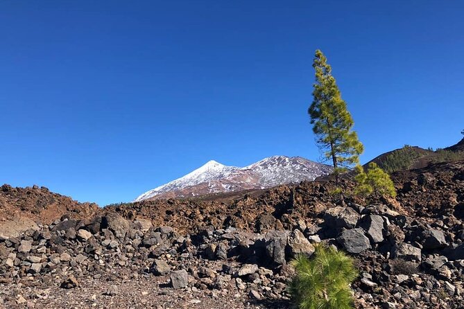 Guided Tour to Teide National Park in Tenerife - Additional Considerations