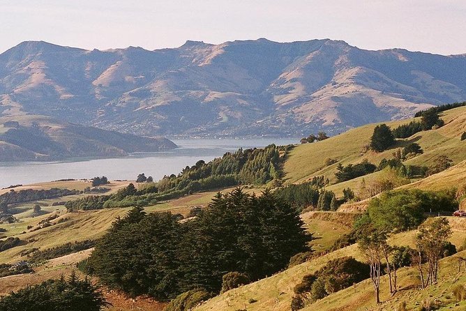 Guided Walk & Scenic Drive From Christchurch- Port Hills & Packhorse Hut - Common questions