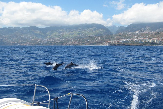 Half-Day Catamaran Trip From Funchal - Customer Support