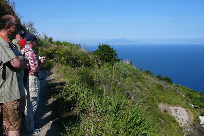 Half-Day East Coast Hike in Ischia Island With Pick-Up - Last Words and Final Thoughts