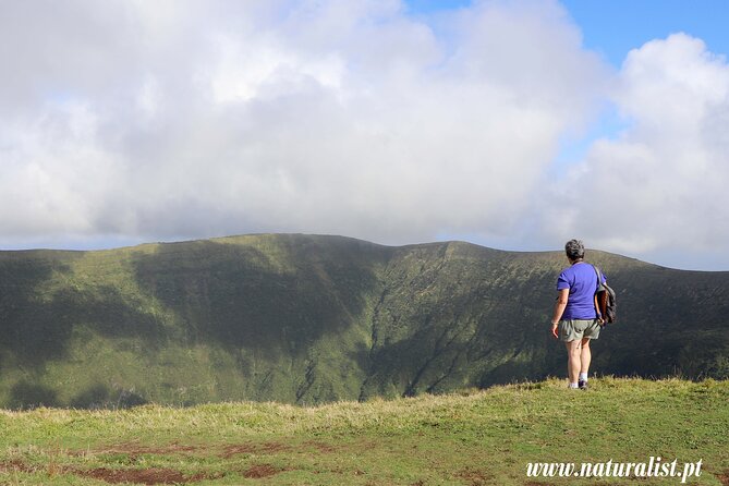 Half Day Faial Island Tour -Local Biologist - Traveler Experiences and Reviews