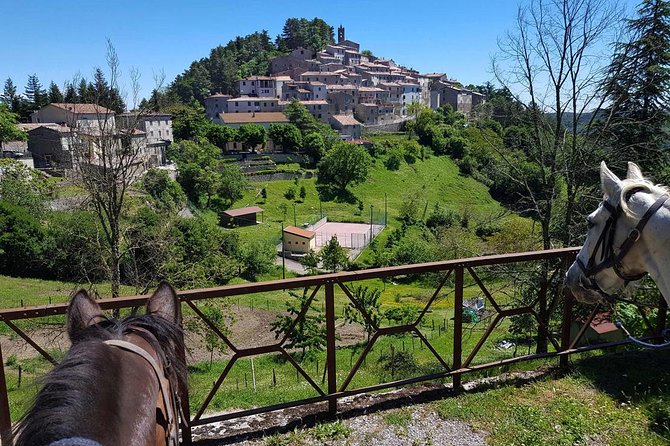 Half-Day Horseback Ride in Tuscany for Beginner Riders - Physical Requirements