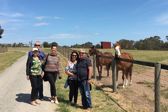 Half-Day Melbourne Racehorse Encounter - Directions