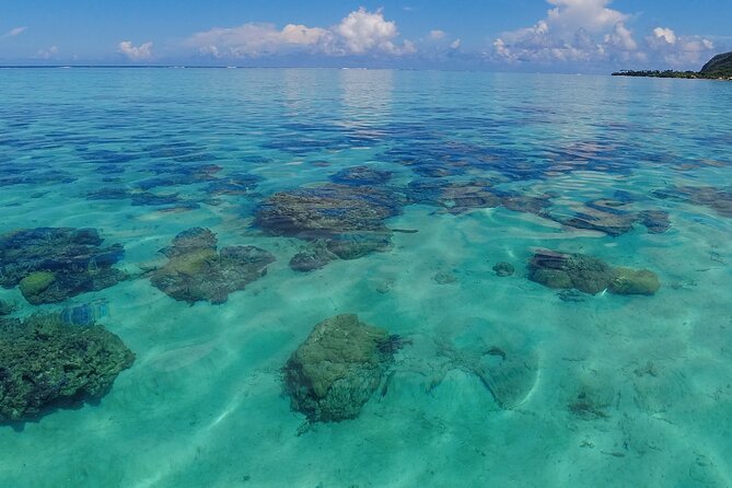 Half-Day Private Lagoon Tour by Boat in French Polynesia - Common questions