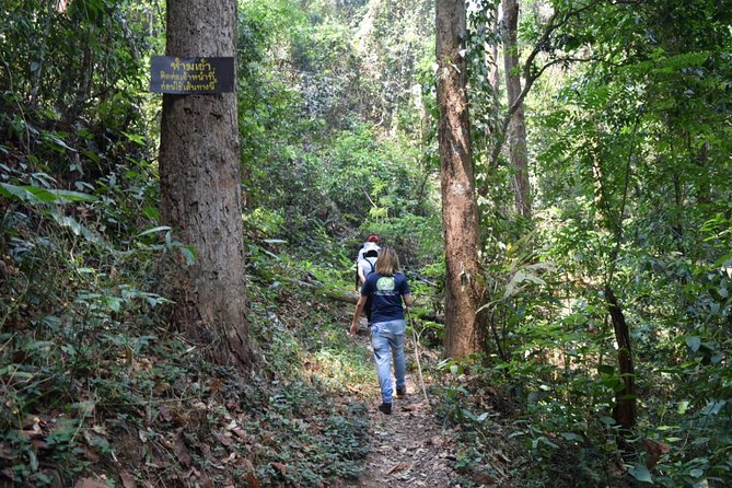 Half Day Trekking Doi Suthep - Pui National Park Area (Private Tour) - Last Words