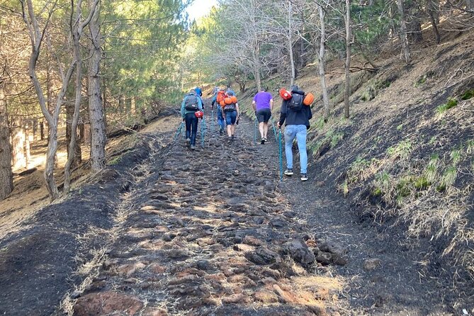 Half Day Trekking Tour on Etna - Additional Recommendations