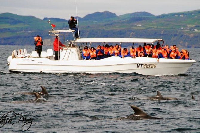 Half-Day Whale and Dolphin Watching Tour in Ponta Delgada - Accessibility Information