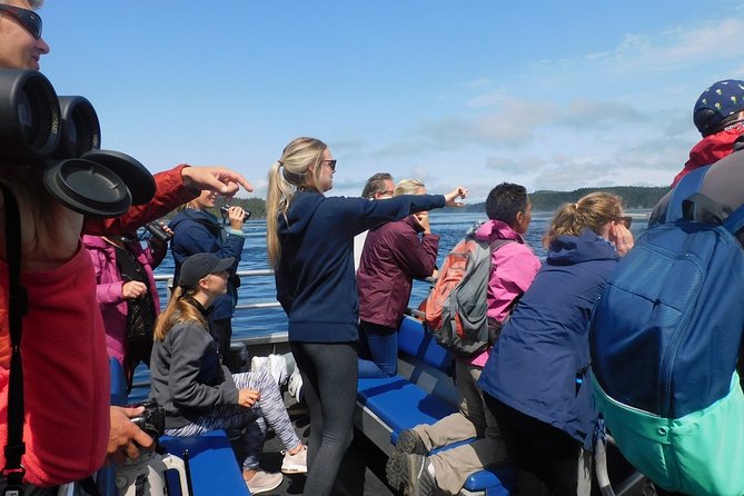 Half-Day Whale Watching Adventure From Telegraph Cove - Last Words