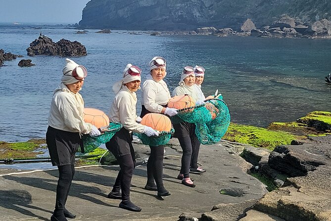 Half or Day Tour for Cruise Customers Arriving at Gangjeong Port - Common questions