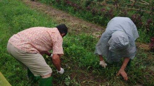 Hanoi: Village Farm Tour and Cooking Class With Lunch - Product Information