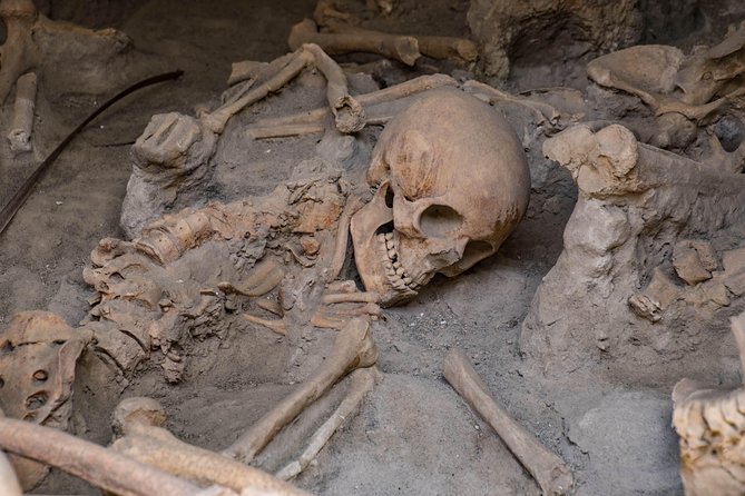 Herculaneum Private Walking Tour - Last Words