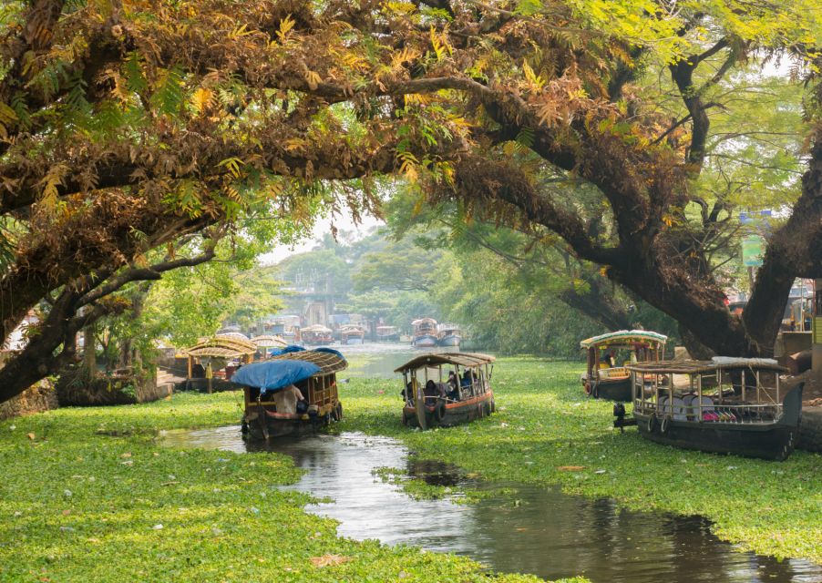 Heritage & Cultural Walk of Alleppey - Guided Walking Tour - Tour Experience Highlights