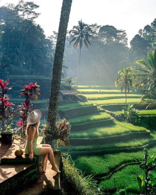 Highlight Ubud Waterfalls and Tegalalang Rice Terrace - Enjoying the Unique Waterfall Adventures