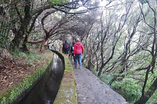 Hike 25 Fontes & Risco Levada Self-Guided - Common questions