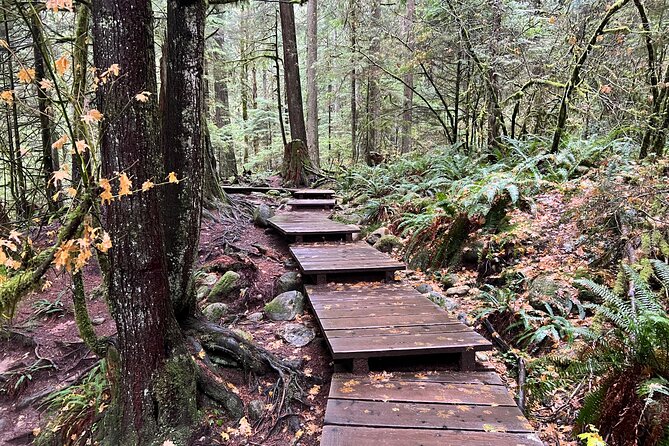 Hike Lynn Canyon and Bike Seymour Demonstration Forest - Fishermans Trail