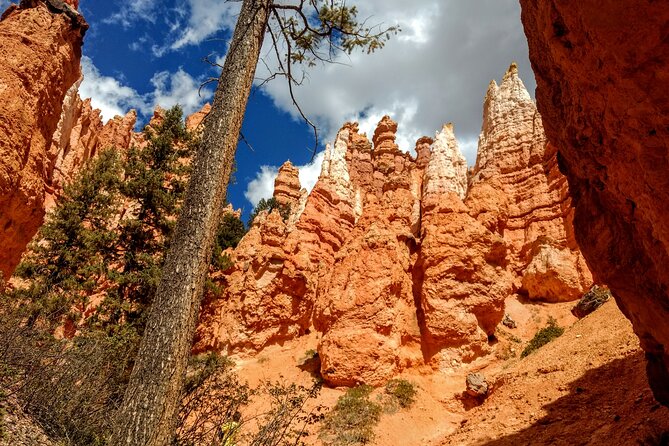 Hiking Experience in Bryce Canyon National Park - Common questions
