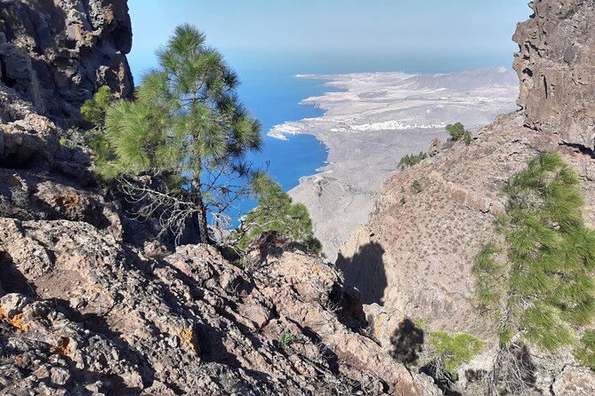 Hiking Experience in the North of Gran Canaria - Common questions