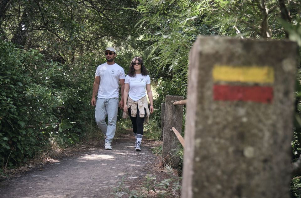 Hiking in Nature: Guided Paths Passing Through Marvão - Last Words