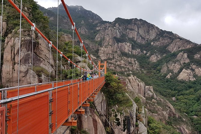 Hiking Mt. Wolchulsan National Park by KTX Train - Return Journey to Seoul