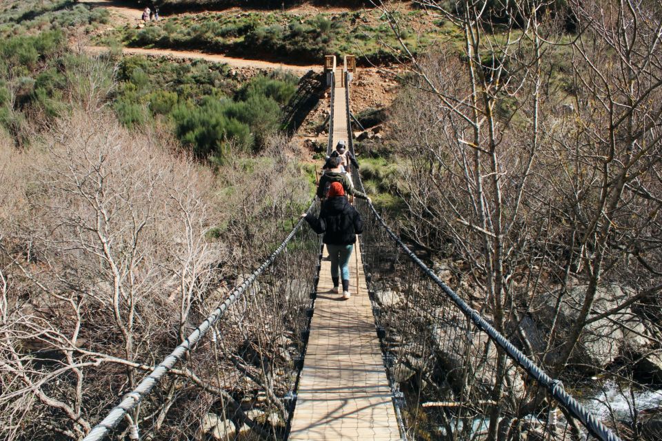 Hiking Tour at Estrela Mountains Wood Paths - Practical Information