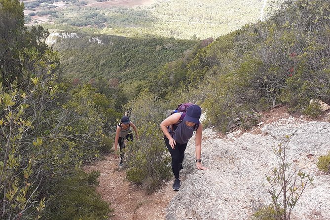 Hiking Tour to the Highest Point of Arrábida Mountain - Common questions