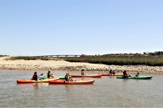 Hilton Head Guided Kayak Eco Tour - Last Words