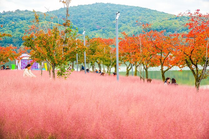 Historic and Natural Beauty- Gyeongju Autumn Foliage Day Tour - Traveler Reviews
