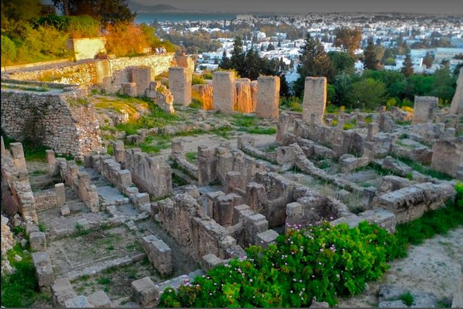 Historical Tour of Ancient Carthage & Sidi Bou Said - Last Words