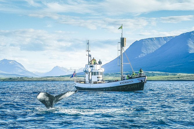 Hjalteyri Whale-Watching Tour on Traditional Oak Ship  - Akureyri - Last Words