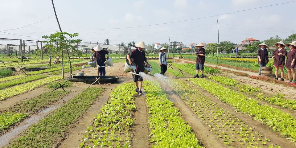 Hoi An: Evening Cooking Class With Locals in Herbs Village - Directions