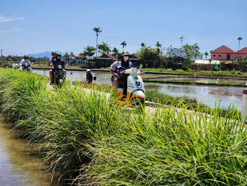 Hoi An Highlights and Hidden Gems Tour by Vespa - Common questions