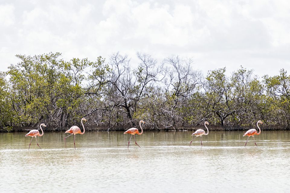 Holbox: Guided Horseback Ride on the Beach - Activity Duration