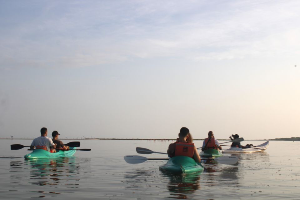 Holbox: Guided Sunrise Kayak Tour Through Mangrove Reserve - Last Words