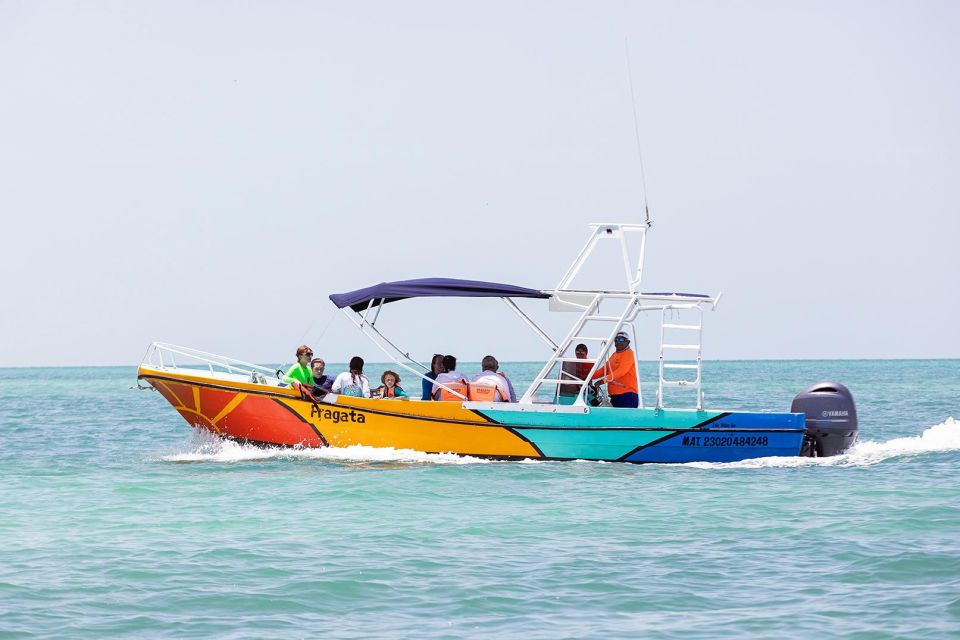 Holbox: Whale Shark Encounter and Marine Adventure - Background