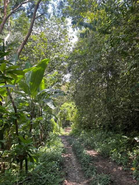 Holistic Retreat ; Cacao Cermony and Cacao Trail - Nourishing the Body and Soul