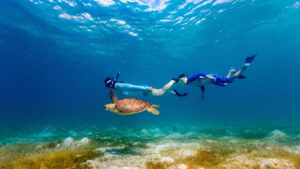 Honolulu: Hanauma Bay State Park Snorkeling Trip - Customer Reviews