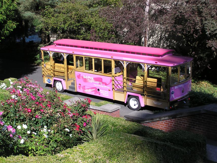 Hop-On Hop-Off Gray Line Pink Trolley Tour - 1 Day Ticket - Traveler Reviews and Feedback