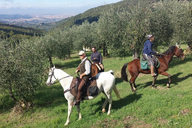 Horse Ride, Olive Oil and Local Foods Tasting in a Tuscan Farm - Directions