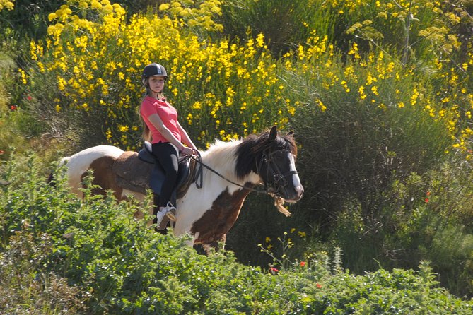 Horse Riding in Kusadasi - Last Words