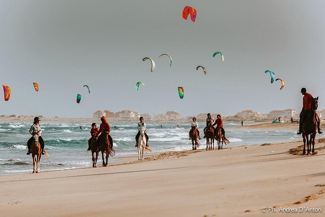Horse Riding in Sal Island - Cabo Verde - Common questions