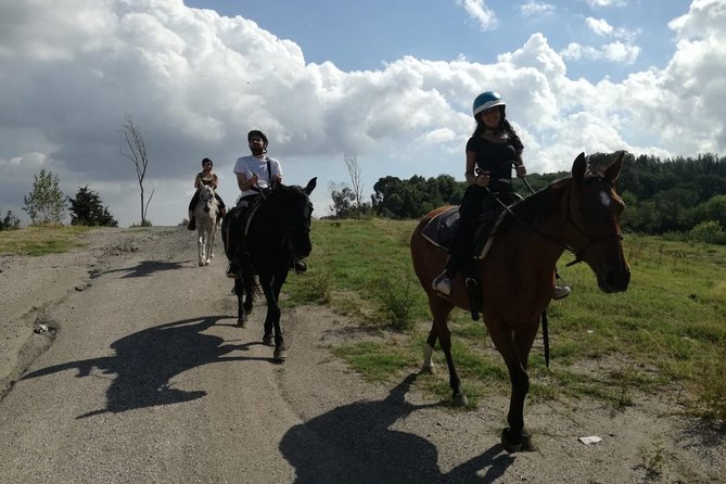 Horse Riding on Vesuvius - Reviews and Ratings